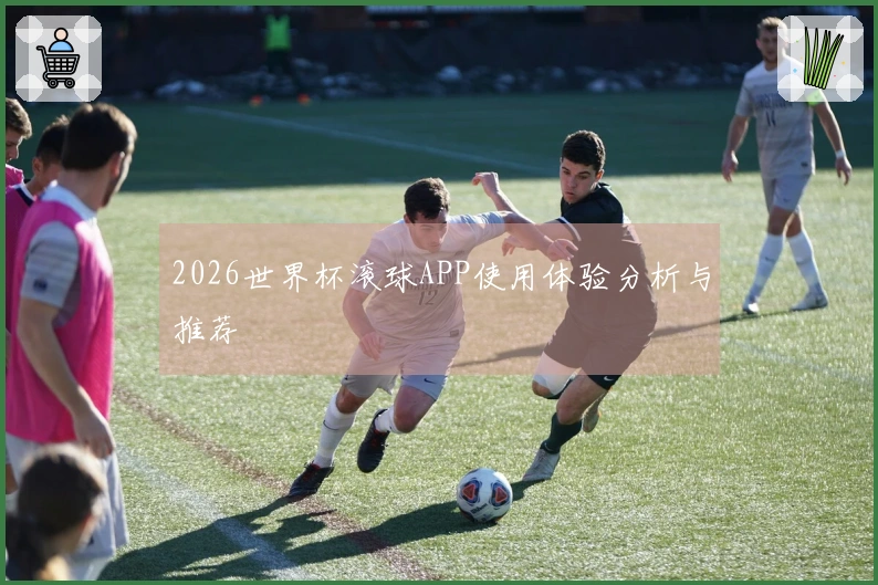 2026世界杯滚球APP使用体验分析与推荐