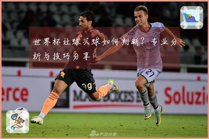 世界杯让球买球如何判断？专业分析与技巧分享