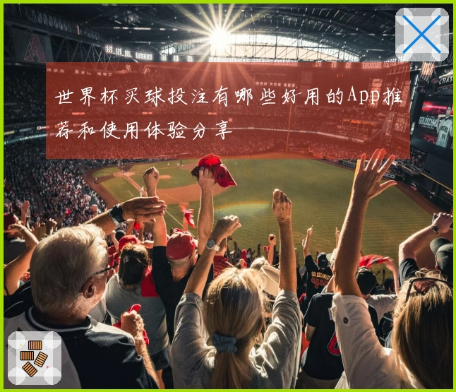 世界杯买球投注有哪些好用的App推荐和使用体验分享