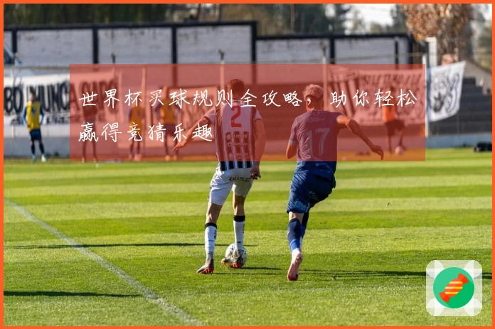 世界杯买球规则全攻略，助你轻松赢得竞猜乐趣