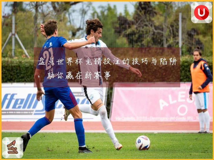盘点世界杯竞猜投注的技巧与陷阱，助你赢在新赛事