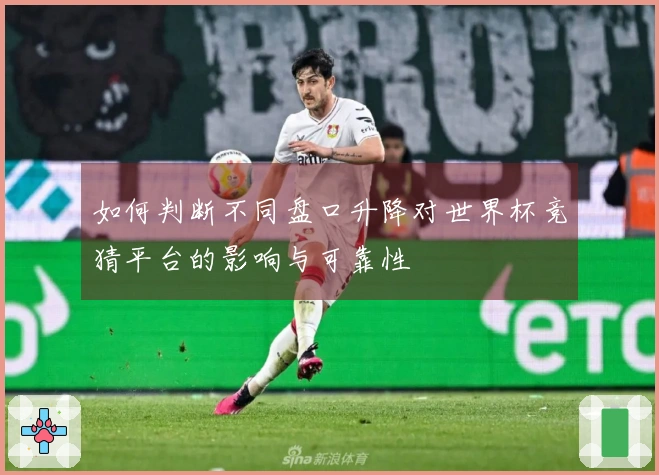 如何判断不同盘口升降对世界杯竞猜平台的影响与可靠性