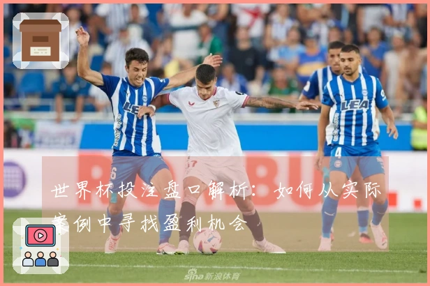 世界杯投注盘口解析：如何从实际案例中寻找盈利机会