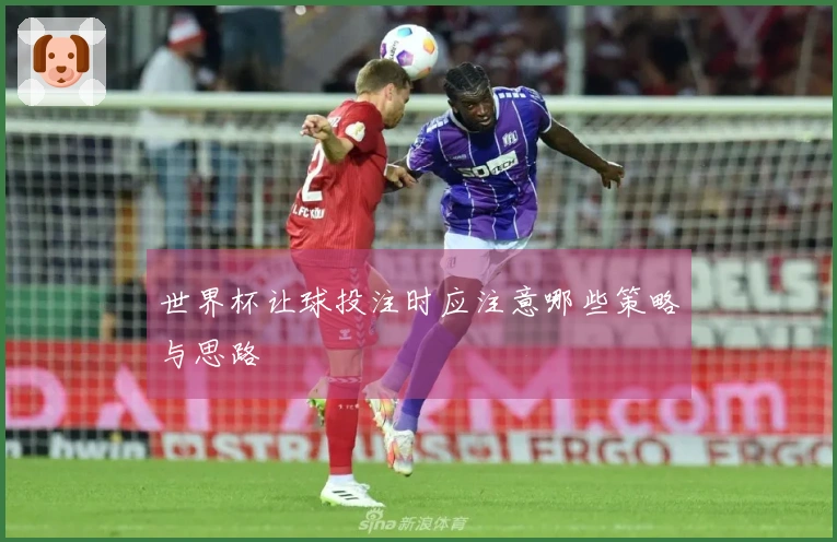 世界杯让球投注时应注意哪些策略与思路