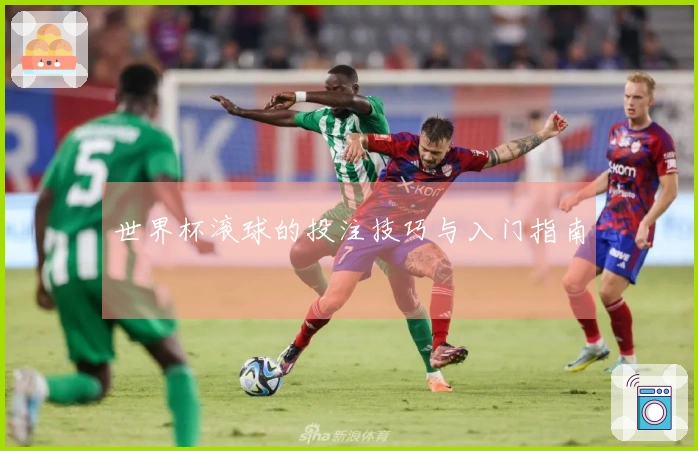 世界杯滚球的投注技巧与入门指南