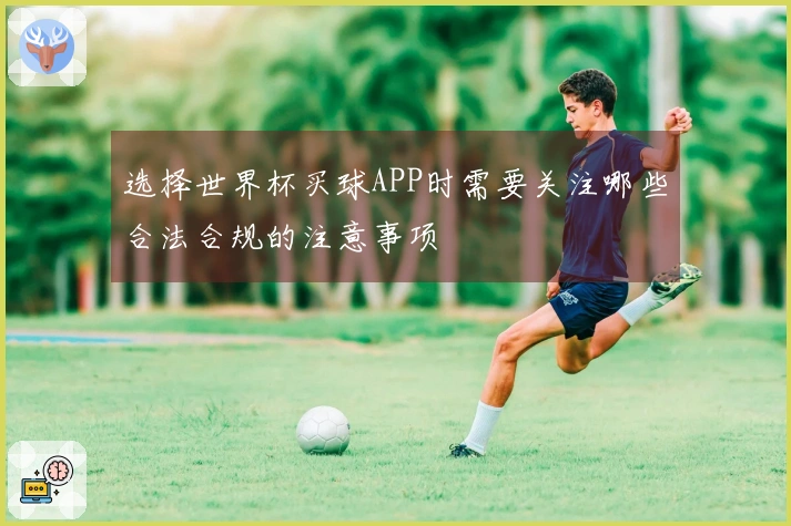 选择世界杯买球APP时需要关注哪些合法合规的注意事项