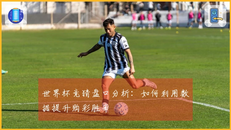 世界杯竞猜盘口分析：如何利用数据提升购彩胜率