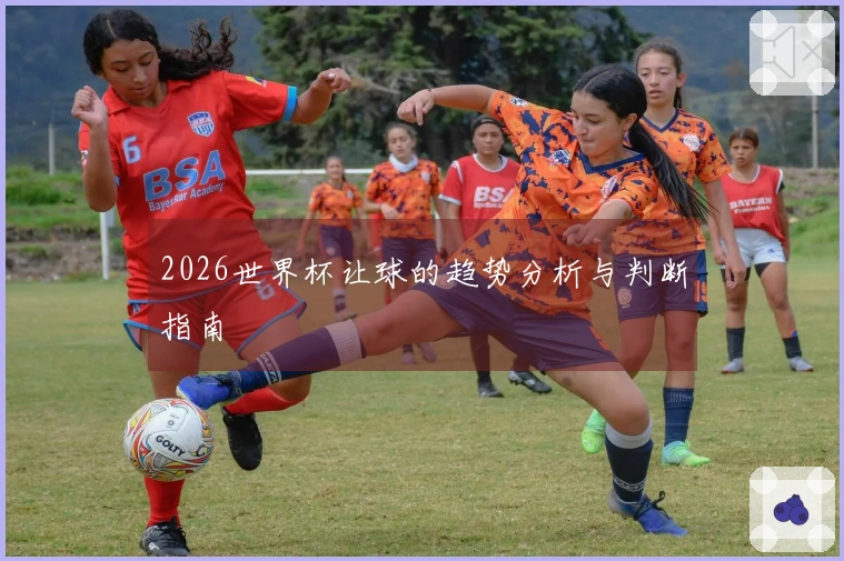 2026世界杯让球的趋势分析与判断指南