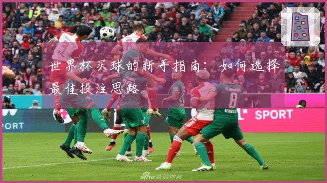 世界杯买球的新手指南：如何选择最佳投注思路
